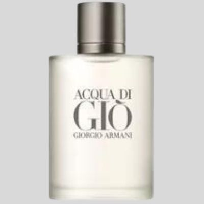 Armani Acqua Di Gio 100ml